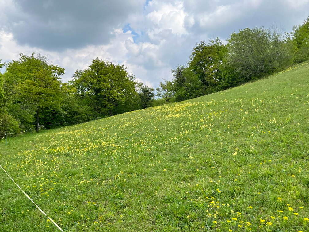 22-04-25 13-59-42 0636